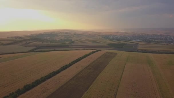 Vista Aérea Vuelo Por Encima Del Campo Verano Rural Con — Vídeos de Stock