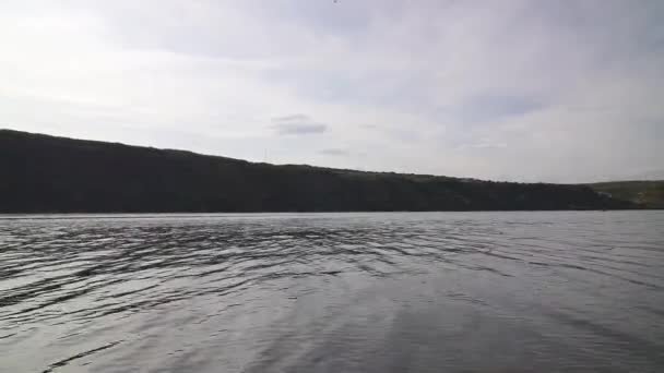 Grands peupliers au bord de la rivière .