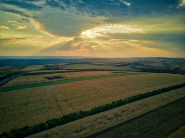 Tahıl tarlalarının havadan drone görünümü, altın gün batımında buğday. Tarımsal desen. Moldova Cumhuriyeti.