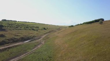 Hava Drone Shot Tall Grass Alanları Üzerinde Uçan