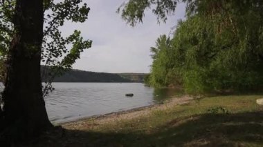 Nehir kıyısında büyük kavaklar.