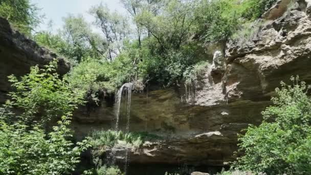 Primer Plano Una Pequeña Cascada Bosque Profundo — Vídeos de Stock