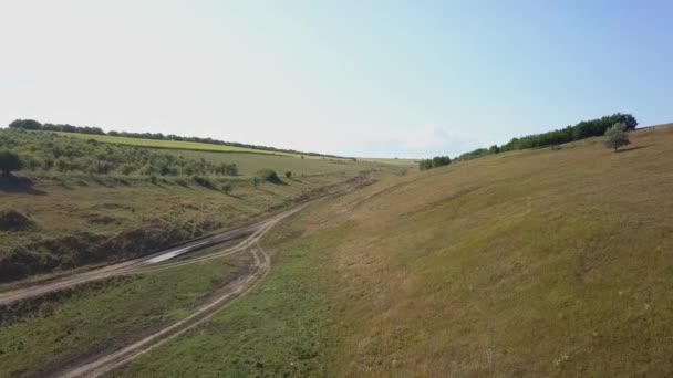 Hava Drone Shot Tall Grass Alanları Üzerinde Uçan — Stok video