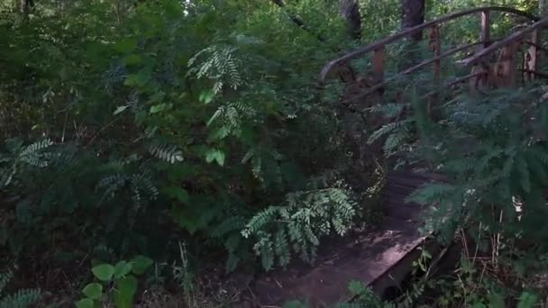 Passeggiando Uno Stretto Vecchio Ponte Legno Nel Parco — Video Stock