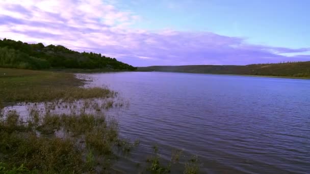 Vue Sur Rivière Avec Roseaux Beau Paysage Avec Une Rivière — Video