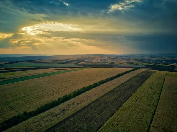 Vista aérea del dron de los campos de grano, trigo durante el atardecer dorado. Patrón agrícola. República de Moldova . — Foto de Stock