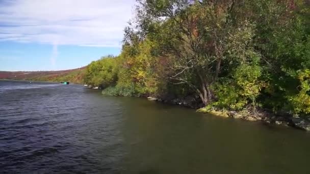 Sonbaharın Inanılmaz Renkleri Nehir Kenarındaki Sonbahar Ormanı Peyzaj Videosu Doğa — Stok video