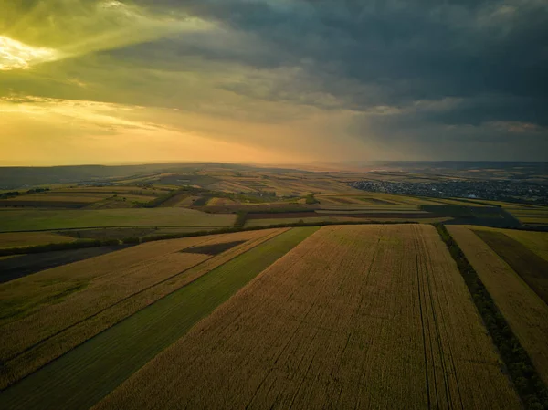 Воздушный беспилотный обзор зерновых полей, пшеницы во время золотого заката. Сельскохозяйственный образец. Республика Молдова . — стоковое фото