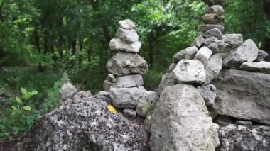 Yeşil ormana taş yığını. Ormanın atmosferi, yeşil çimenler, iğne yapraklı ağaçlar, çiçekler, taşlar.