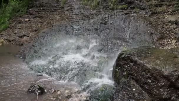 Закрыть Небольшой Водопад Глубоком Лесу Звуком — стоковое видео