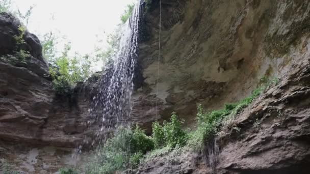 Perto Uma Pequena Cachoeira Uma Floresta Profunda Com Som — Vídeo de Stock