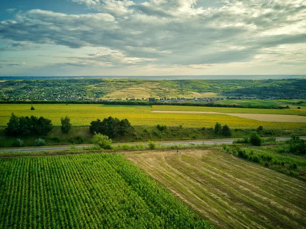 Vista aérea del campo de arroz verde y amarillo, creció en un patrón diferente al atardecer . — Foto de Stock