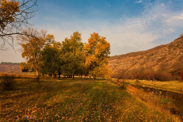 Pemandangan musim gugur. Kuning lapangan dan langit biru. — Stok Foto