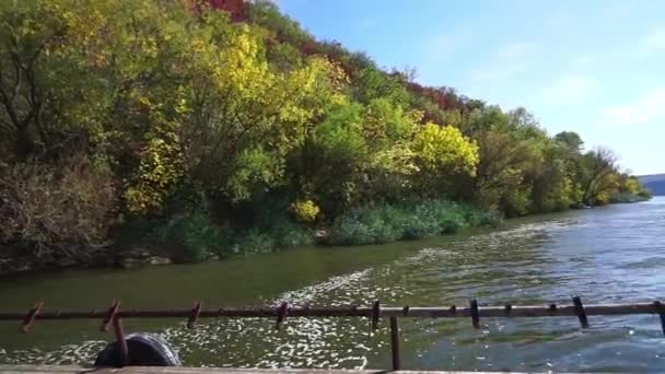 Erstaunliche Farben Des Herbstes Herbstwald Flussufer Landschaftsvideo Naturvideo — Stockvideo