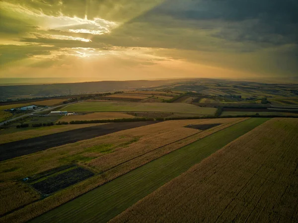 Vista aérea del dron de los campos de grano, trigo durante el atardecer dorado. Patrón agrícola. República de Moldova . —  Fotos de Stock