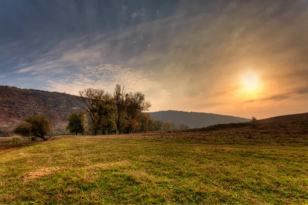 Ongelooflijk herfstlandschap met gele bomen — Stockfoto