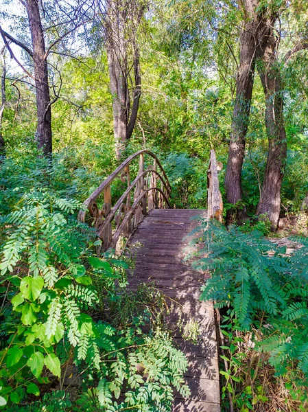 공원에 있는 오래 된 나무 다리 — 스톡 사진
