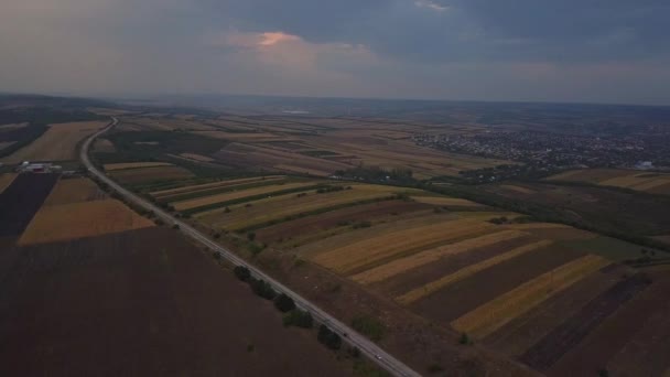 Vue Aérienne Par Drone Des Champs Céréales Blé Coucher Soleil — Video