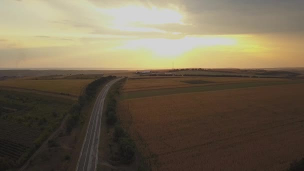 Luftaufnahme Von Getreidefeldern Weizen Bei Goldenem Sonnenuntergang Landwirtschaftsmuster Republik Moldau — Stockvideo