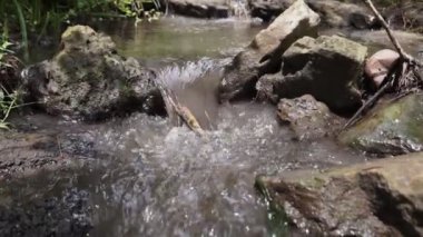 Yosunlu kayaların üzerinden akan orman deresi. Yazın yeşil ormanlık alanda küçük bir şelale.