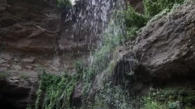 Ormanın derinliklerindeki küçük bir şelaleye yakın..