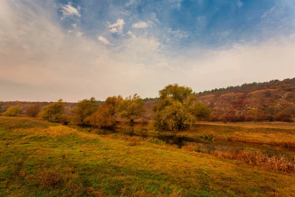 Paisagem de outono incrível com árvores amarelas — Fotografia de Stock