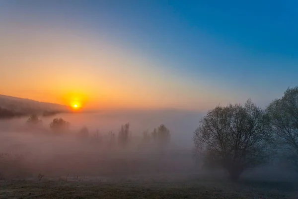 Beau brouillard automne lever de soleil paysage. — Photo