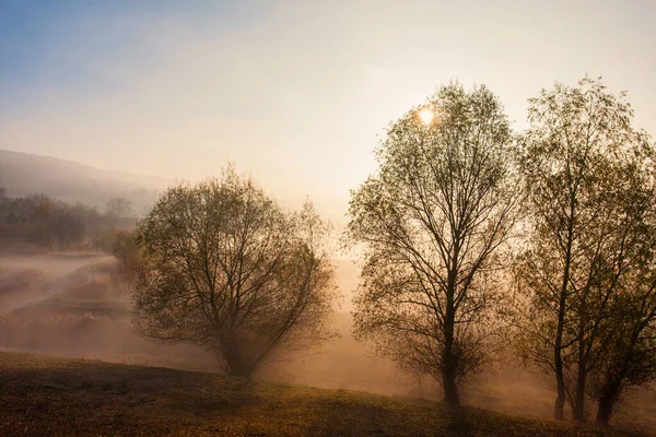 Schöne neblige Herbstsonnenaufgangslandschaft. — Stockfoto