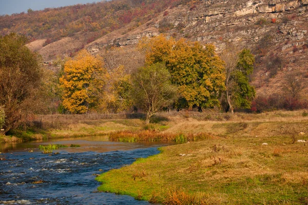 Podzimní potokové lesy se žlutými stromy listoví a skály v lesních horách. Stock Fotografie