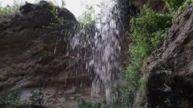 Ormanın derinliklerindeki küçük bir şelaleye yakın..