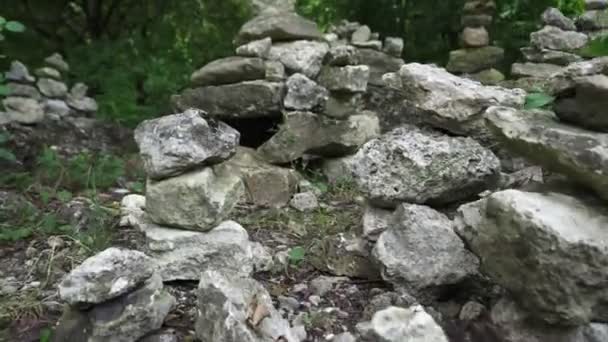 Högen av stenar i den gröna skogen. Atmosfären i skogen, grönt gräs, barrträd, blommor, stenar. — Stockvideo