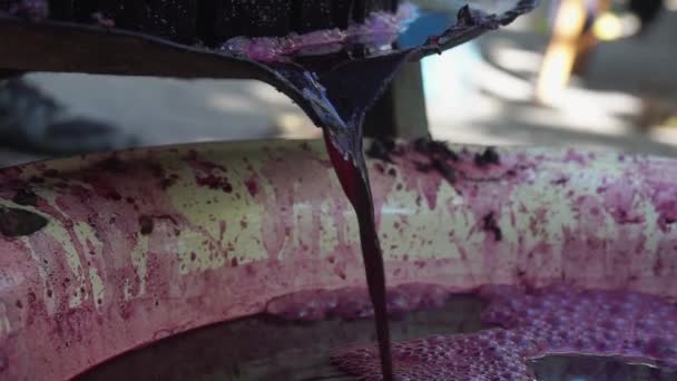 Wine Making Technology Wine Production Folk Tradition Making Wine Wine — Stock Video