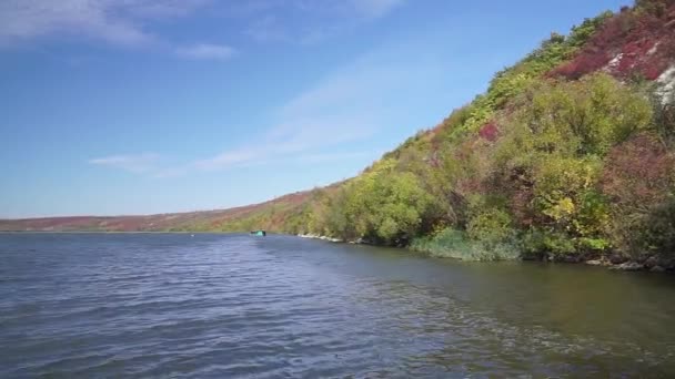 Increíbles Colores Caída Bosque Otoño Orilla Del Río Vídeo Paisaje — Vídeo de stock