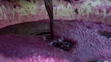 Şarap üretimi. Şarap üretim teknolojisi. Şarap yapma geleneği. Moldova 'da şarap üretimi.