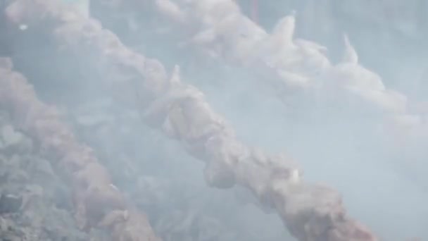 Маринований Ясний Гриль Грилі Куріння Близько Свіжих Ясних Шампурів Грилі — стокове відео