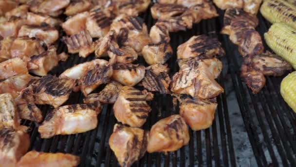 Marinated Meat Grilling Smoking Grill Close Fresh Meat Skewers Grill — Stock Video