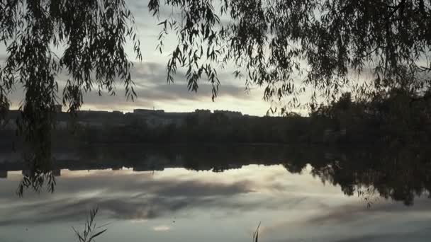 Красивый Закат Над Озером Городском Парке — стоковое видео