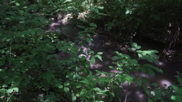 Waldbach Fließt Über Bemooste Felsen Kleiner Flusswasserfall Sommergrünen Wald — Stockvideo