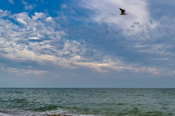 Relaxing seascape with wide horizon of the sky and the sea