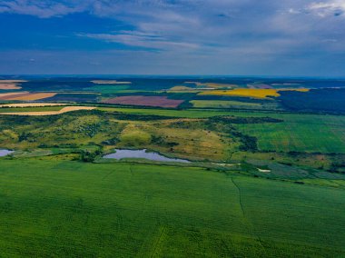 Yazın hasat öncesi yeşil tarlalar hava manzarası