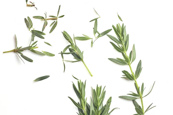 Färsk grön rosmarin isolerad på vit, ovanifrån. Aromatisk ört. — Stockfoto