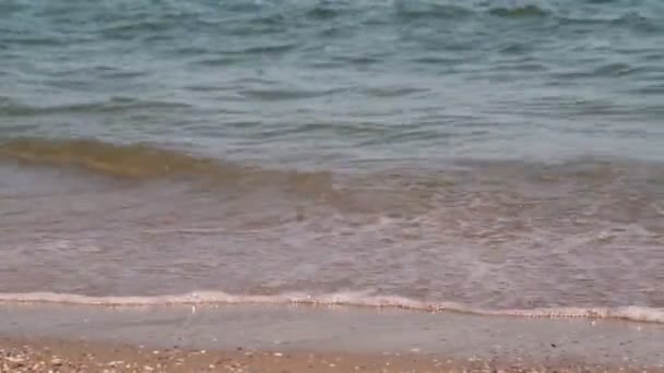 해변, 안개가 자욱 한 바다, 파도가 모래를 씻어 냅니다. 파도가 모래사장에 부딪히고. 파도 소리 — 비디오