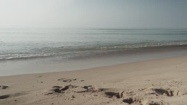 Mann und Frau betreten händchenhaltend das warme azurblaue Meer. Toller Urlaub am Meer. — Stockvideo