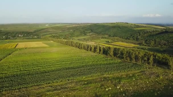 航空機だ 日没時に飛行します その日の日没時に畑や木々と美しい景色 モルドバの場所 晴れた夏の夜 農業作物のパノラマ — ストック動画