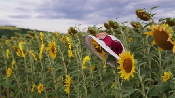 Соняшники Полі Красиві Поля Соняшниками Влітку Жінки Білий Капелюх Голові — стокове відео
