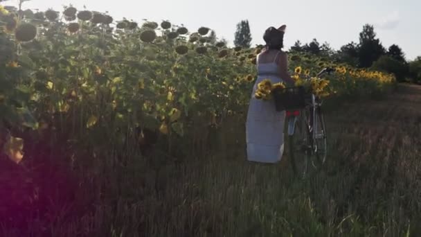 Kobieta Kapeluszu Biała Sukienka Rowerem Przechadza Się Pyłku Słonecznikami — Wideo stockowe