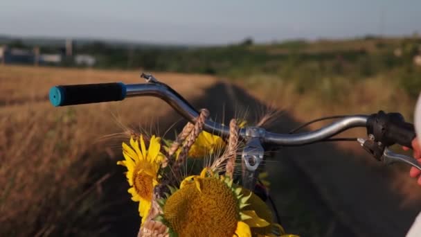 Skjuten Ung Kvinna Lätt Klänning Och Hatt Ridning Cykel Landsbygden — Stockvideo