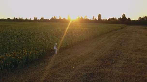 Top View Woman White Dress Leading Bicycle Field Sunflowers Drone — Stock Video