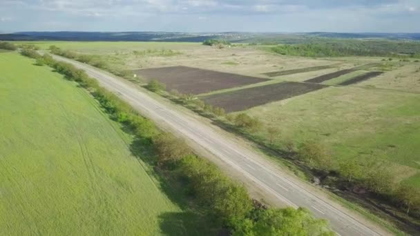 Vuelo Drones Sobre Campos Agrícolas Primavera — Vídeo de stock
