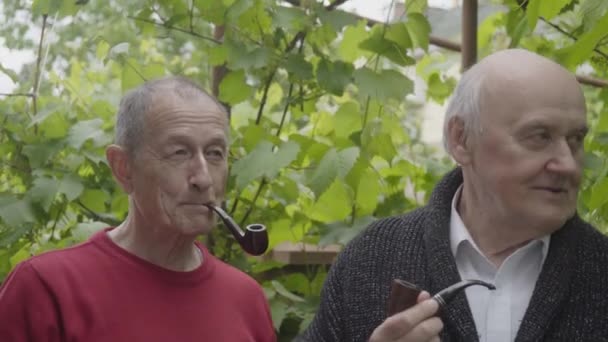Two Senior Mans Smoking Tobacoo Pipe Luking Camera — Wideo stockowe